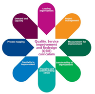 Small graphic showing the key parts of QSIR programme