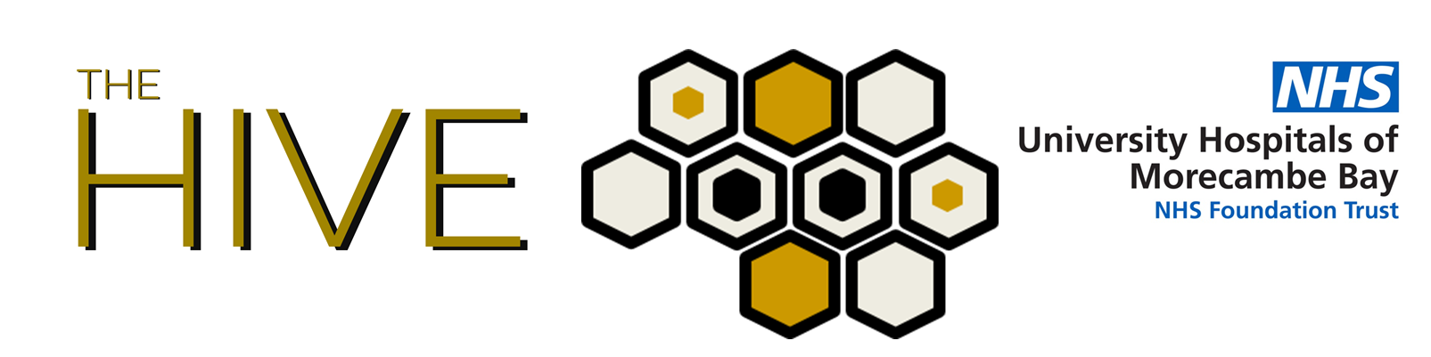 Hive transformation programme banner