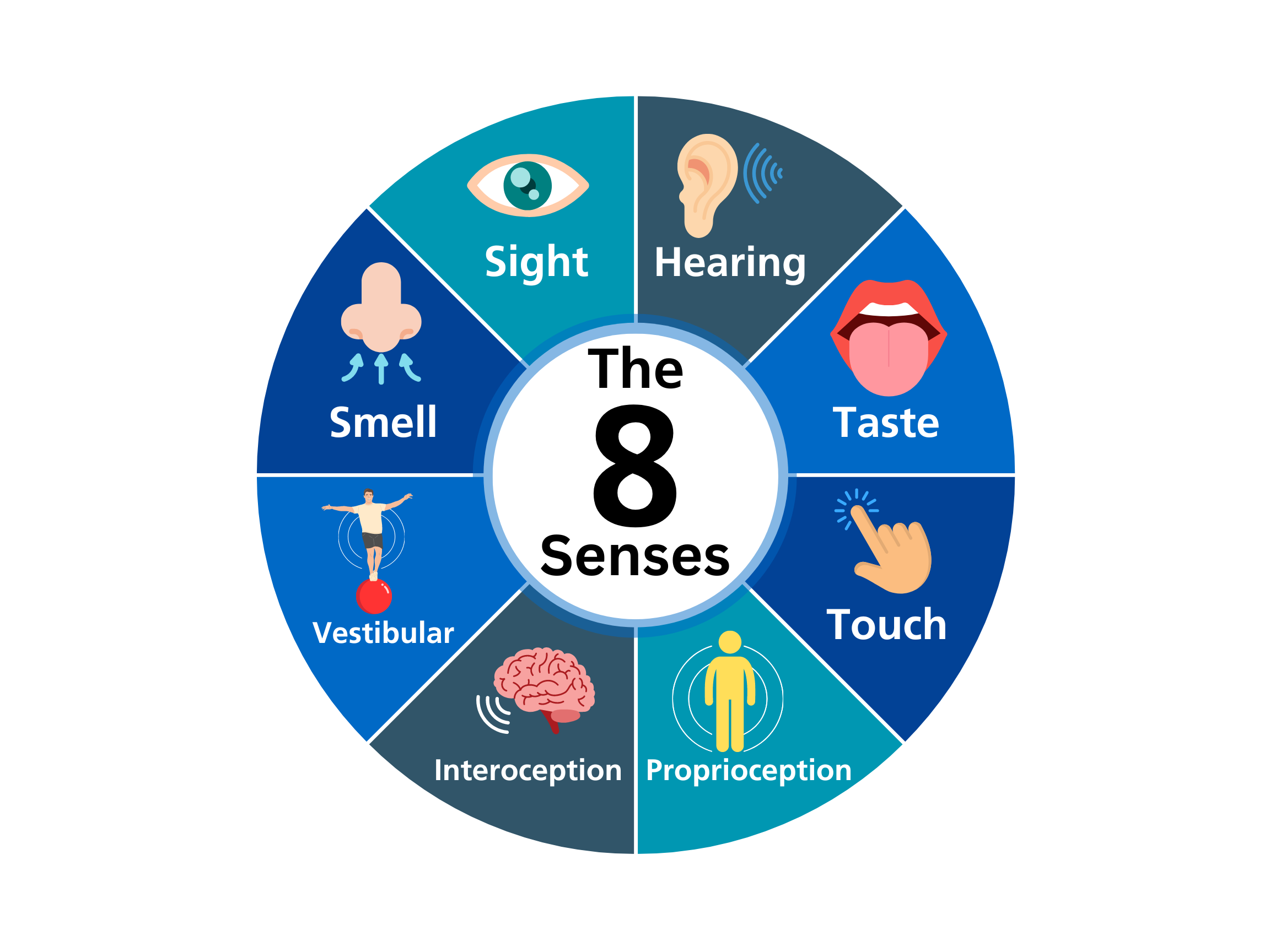 A pie-chart style diagram with eight 'slices' showing pictures and labels for eight different senses: sight, hearing, taste, touch, proprioception, interoception, vestibular, and smell,  