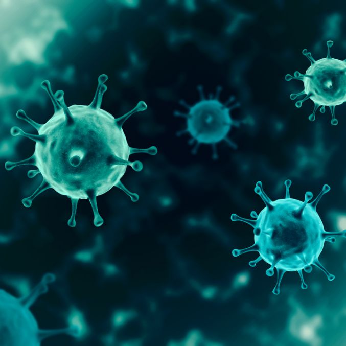 Shutterstock image of Coronavirus
