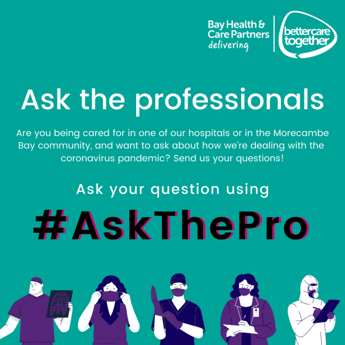 Ask the professionals graphic