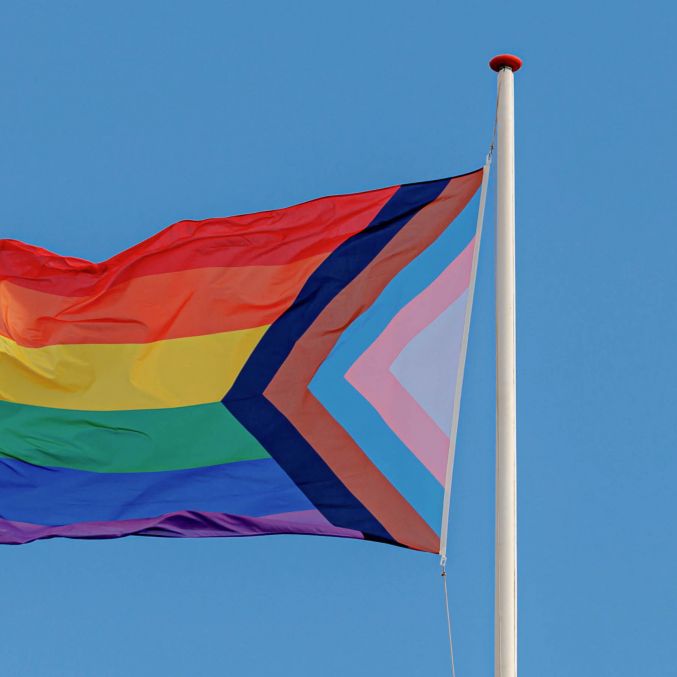 Diversity Pride Flag.jpg